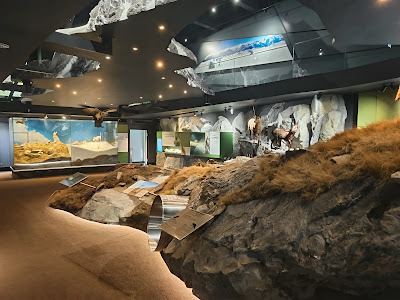 Hohe Tauern National Park Information Centre — fotografia 4