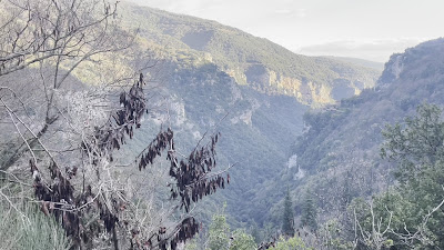 Lousios Gorge Hiking — fotografia 4
