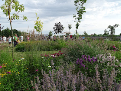 Lavender Farm — fotografia 5
