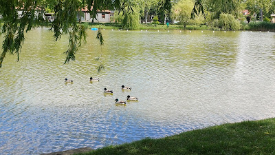 Rüdiger-tó — fotografia 4