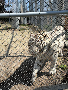 Varna Zoo — fotografia 5
