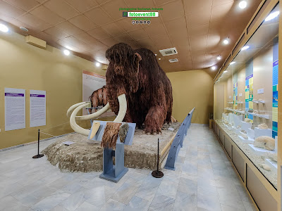 EcoMuseum — fotografia 4