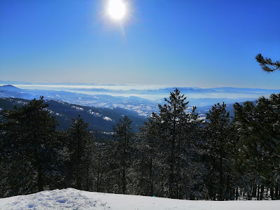 Viewpoint — fotografia 3