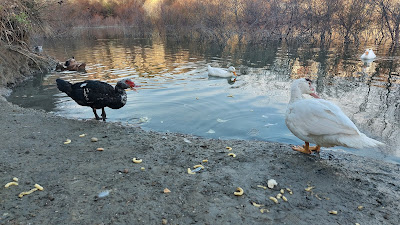 Laguna de La Barrera — fotografia 5