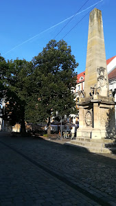 Piața Muzeului — fotografia 2