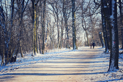 Normafa Park — fotografia 4