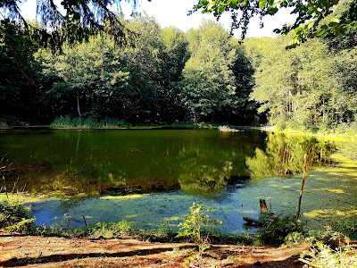 Lacul Hânsaru