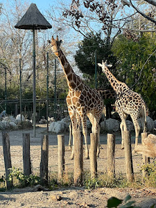 Zoo Tábor - A Fővárosi Állatkert Tábora — fotografia 3