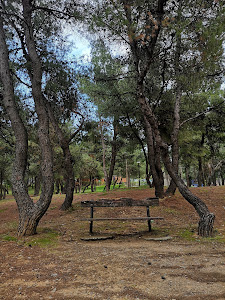 Kaisariani Shooting Range Park — fotografia 5