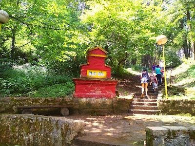 Borići — fotografia 4