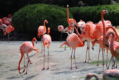 Ostrava Zoo — fotografia 3