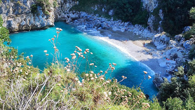 Pelion