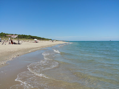 Spiaggia libera di Lido di Classe — fotografia 3