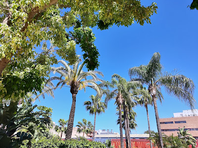 Parque del Sol — fotografia 3