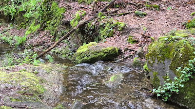 Secret Waterfalls Ecotrail — fotografia 2