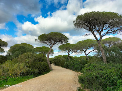 Los Toruños Natural Park — fotografia 5