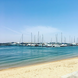 Marismas del Odiel — fotografia 5