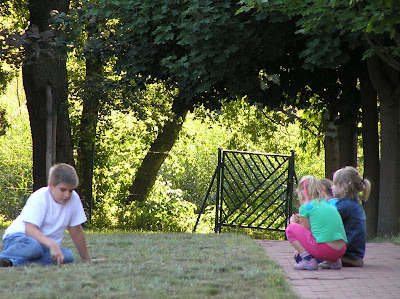 Pole kempingowe Pod Klonami ciche i spokojne — fotografia 4
