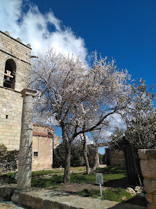 Parc del Montnegre i el Corredor — fotografia 3