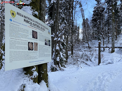 Cascada Urlătoarea (Bușteni) — fotografia 5