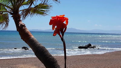 Camping Aginara Beach
