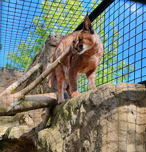 Zájezd Zoo — fotografia 5