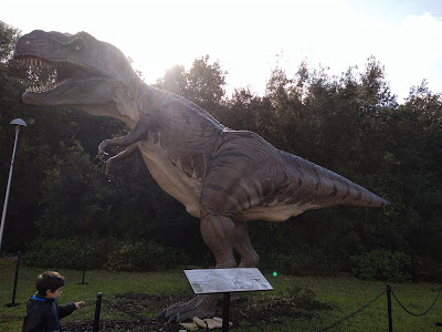 Natural History Museum of Salento — fotografia 3