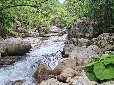 Kouiassa — fotografia 4