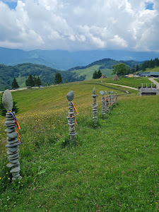Traseu Ecoturistic T8 — fotografia 5