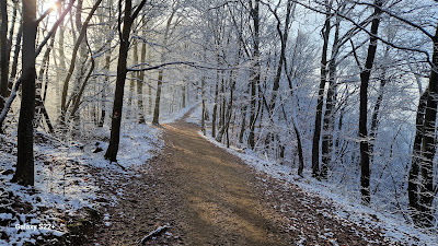 Bikčevićeva staza — fotografia 4
