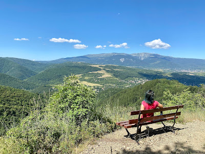 Panoramic Viewpoint