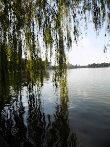 Lacul Herăstrău — fotografia 5