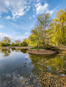 Parcul Municipal Onești — fotografia 3