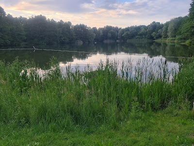 Kiessee Schildow — fotografia 3
