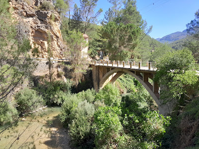 Charco Las Juntas — fotografia 4