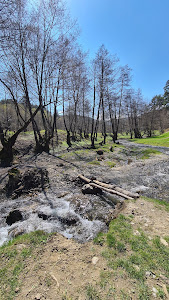 Piatra Broaștei - Calcare cretacice - Monument natural protejat — fotografia 3