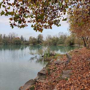 Waldmattensee Strand — fotografia 4