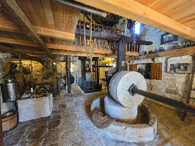 Olive oil museum — fotografia 3