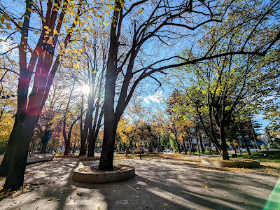 Parc Spicul