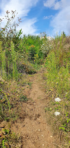 Regionalpark Niddaroute — fotografia 4