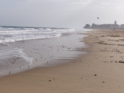 Platja de l'Altet — fotografia 3