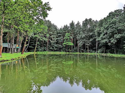 Rybník Vyšná Šebastová