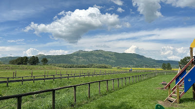 Area Pic Nic - La Valle Del Drago
