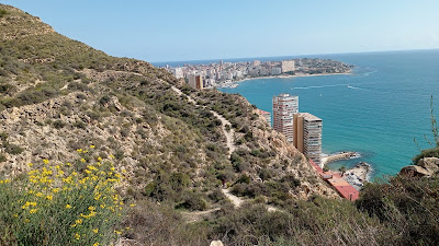 La Pineda de Bonavista — fotografia 4