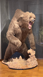 Civic Museum of Natural History — fotografia 5