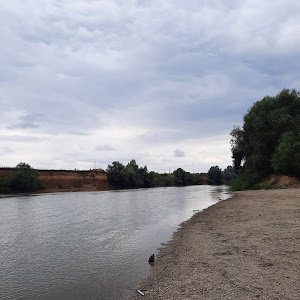 RNP Romsilva Administratia Parcului Natural Lunca Mureșului R.A. — fotografia 4