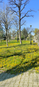 Parc Pădurice — fotografia 4