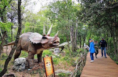 Dinopark Funtana — fotografia 5