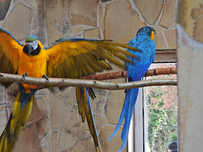 Zoo Wasserstern — fotografia 4