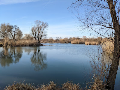 Jezero "Bara"